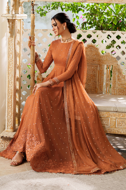 CC-88 Embroidered Chiffon
