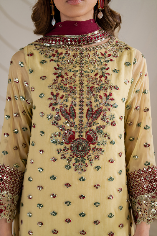 CC-61 Embroidered Chiffon