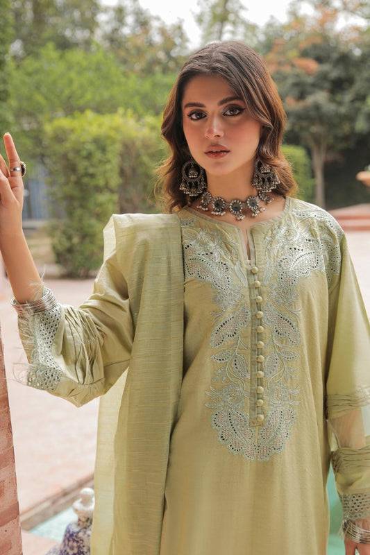 3 PC STITCHED | EMBROIDERED LAWN SUIT