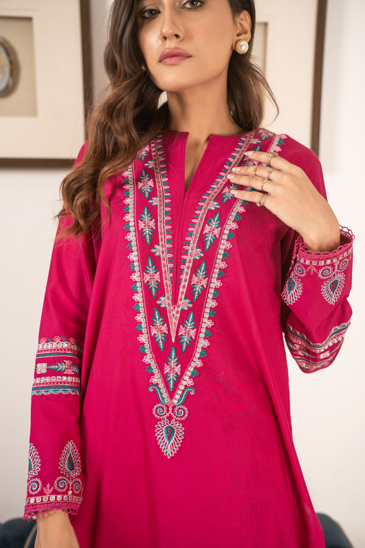 2 PC Stitched | Embroidered Suit