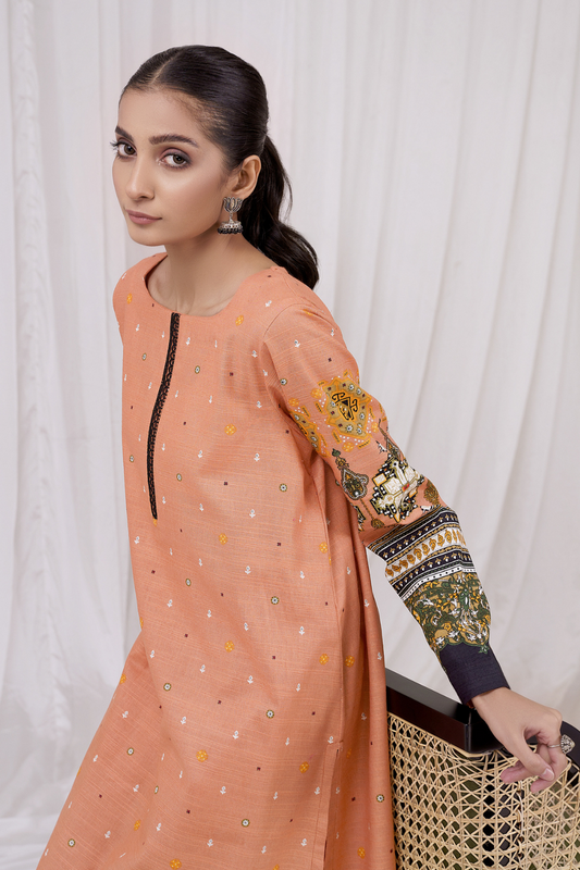 1 PC Unstitched | Printed Khaddar Shirt