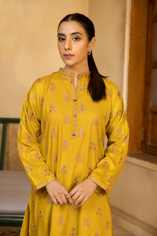1 PC Stitched | Crepe Embroidered Shirt