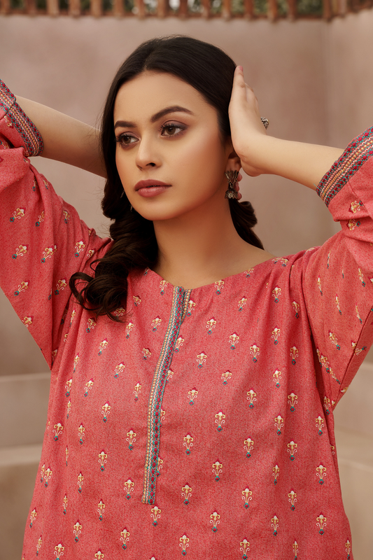1 PC Stitched | Embroidered Karandi Shirt