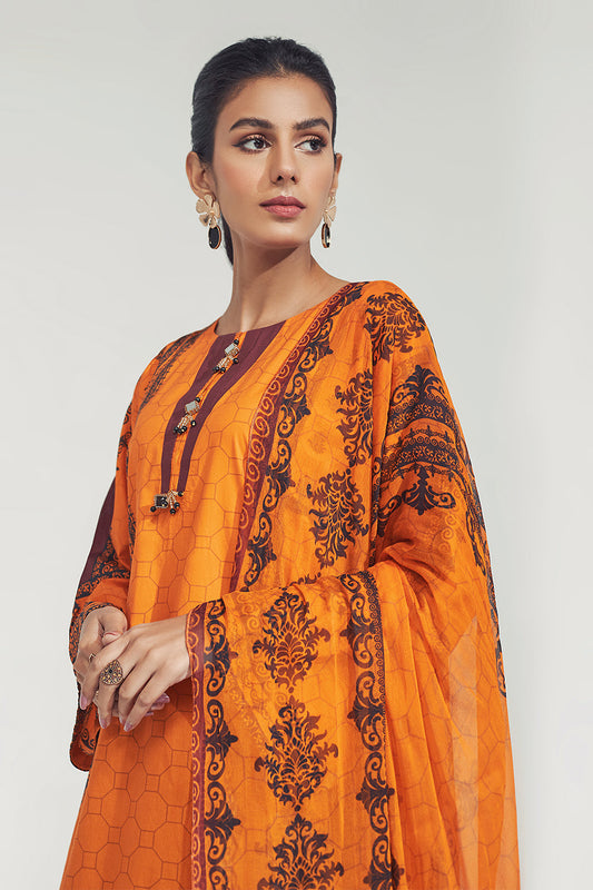 2 PC Stitched | Printed Shirt + Dupatta