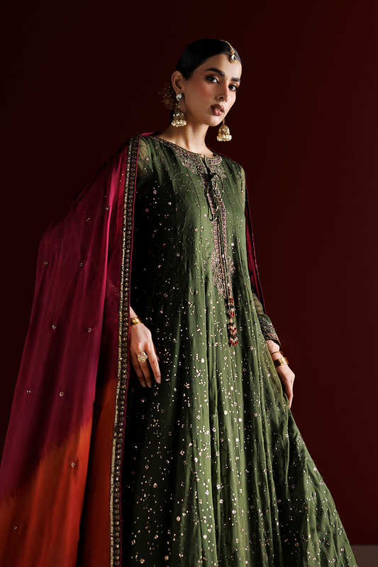 CC-105 Embroidered Chiffon