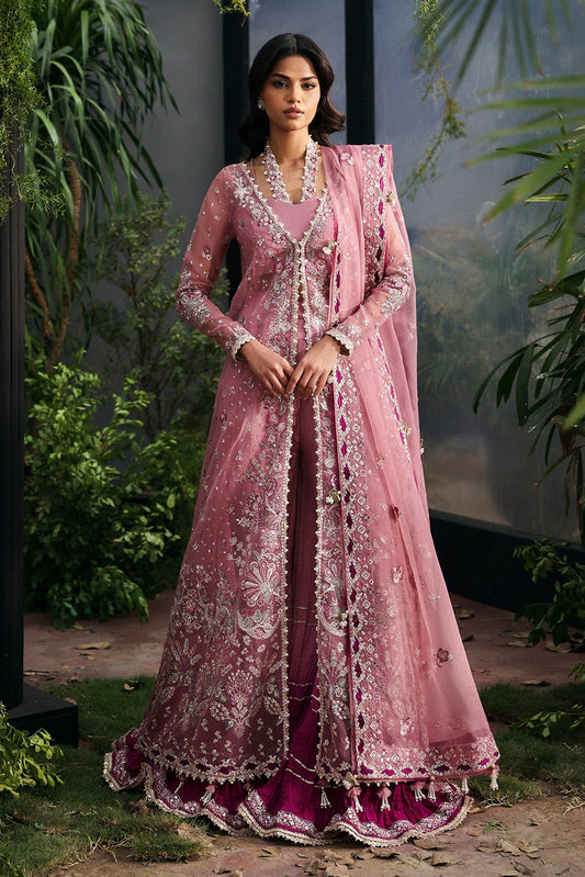 Seraira from La Fuchsia '25
