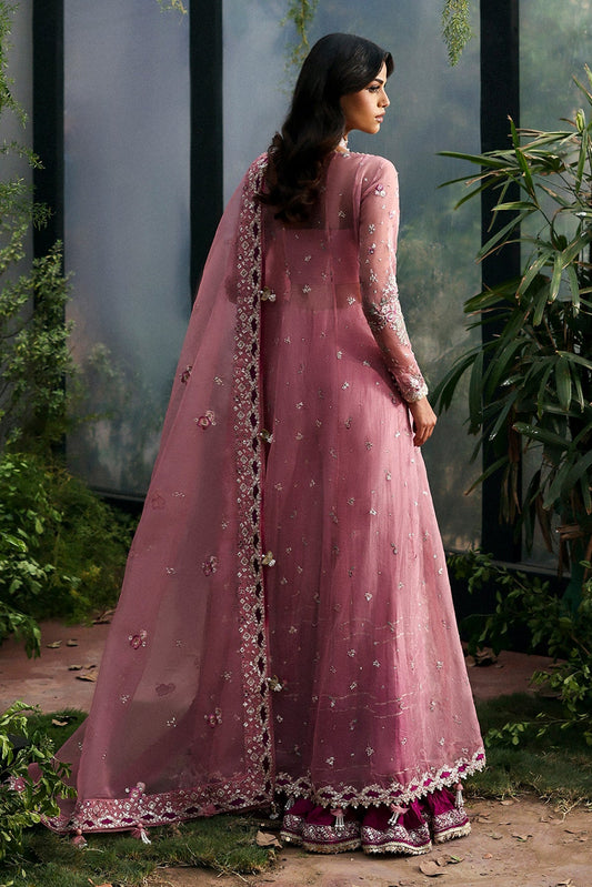 Seraira from La Fuchsia '25