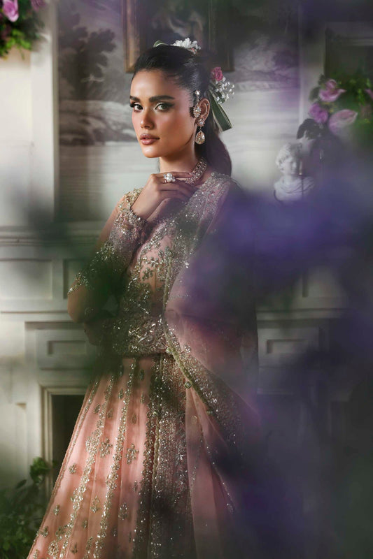 1570 Sanoura - Deewani Luxury Formals
