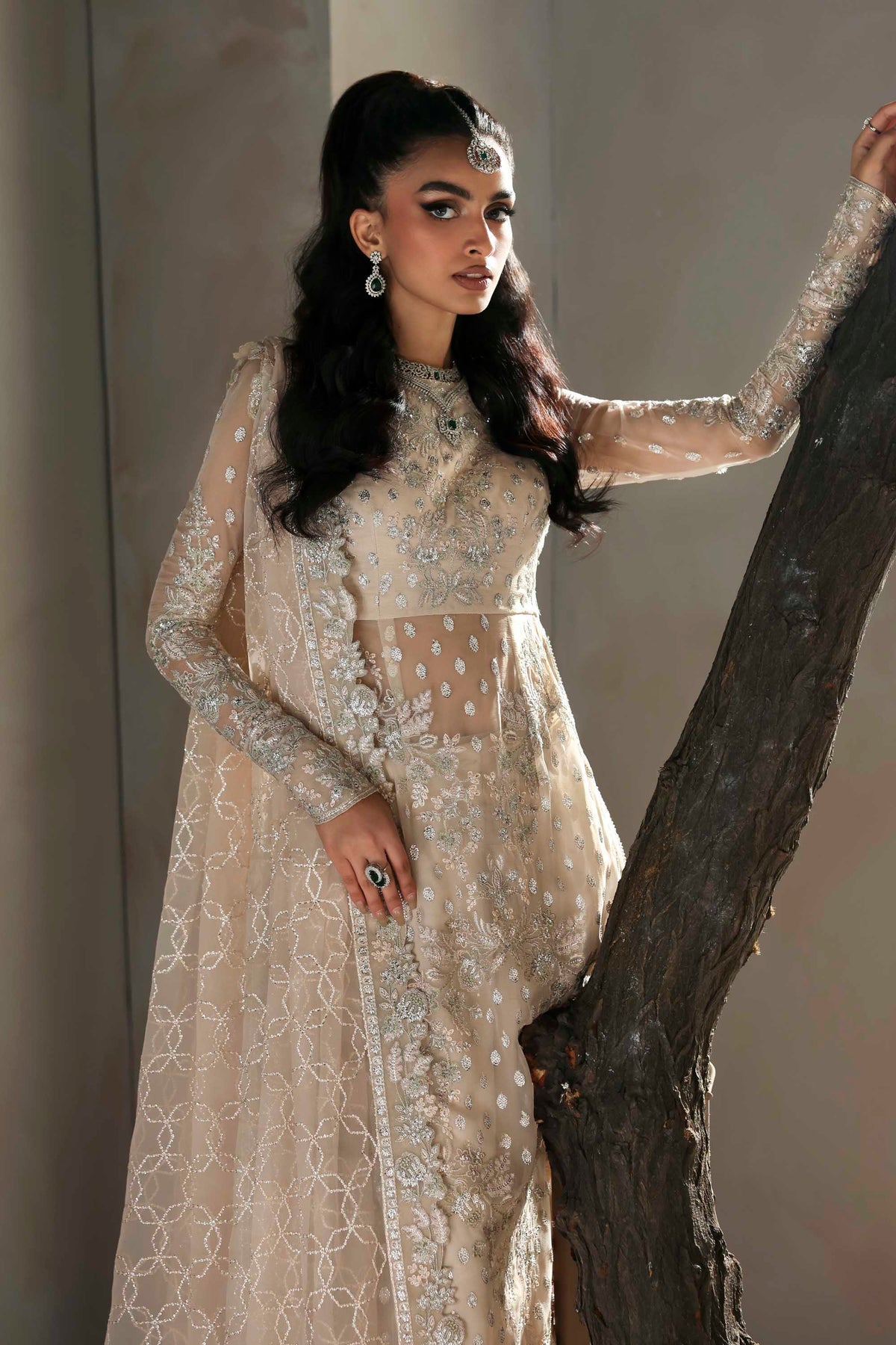 1611 Sehrya - MEERAS Luxury Chiffon by Akbar Aslam at #VogueClothingStudio