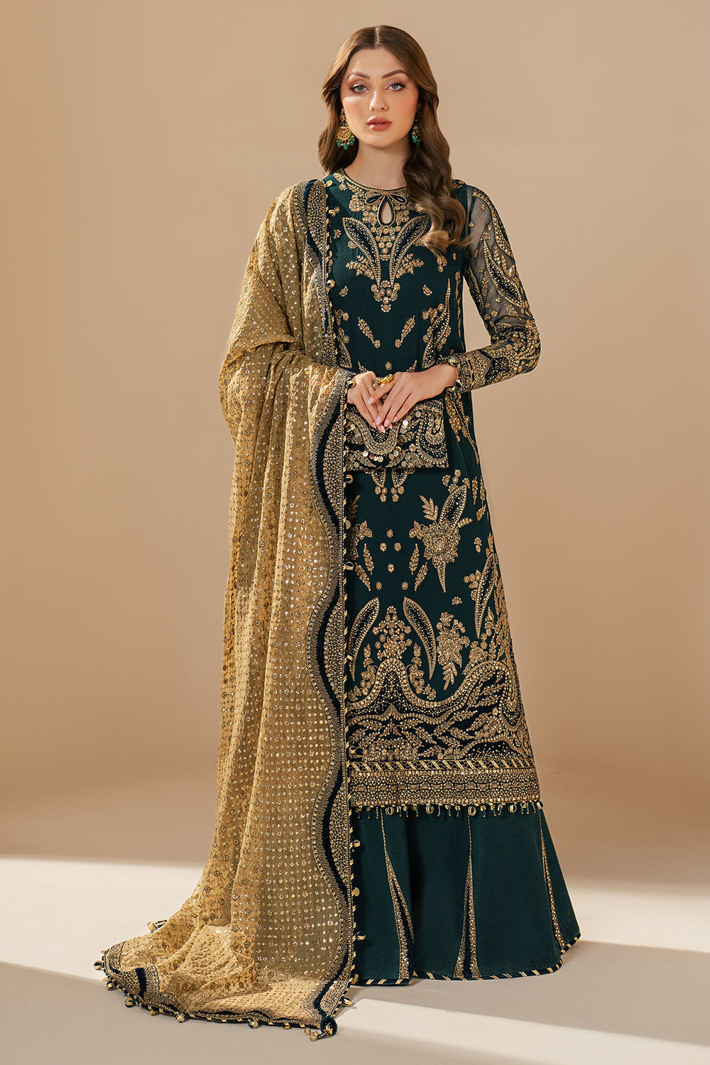 JZ-WF'25-06-0 EMBROIDERED CHIFFON