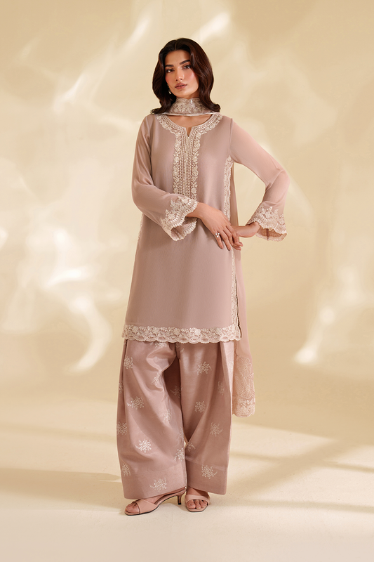 CC-79 Embroidered Chiffon - Iznik