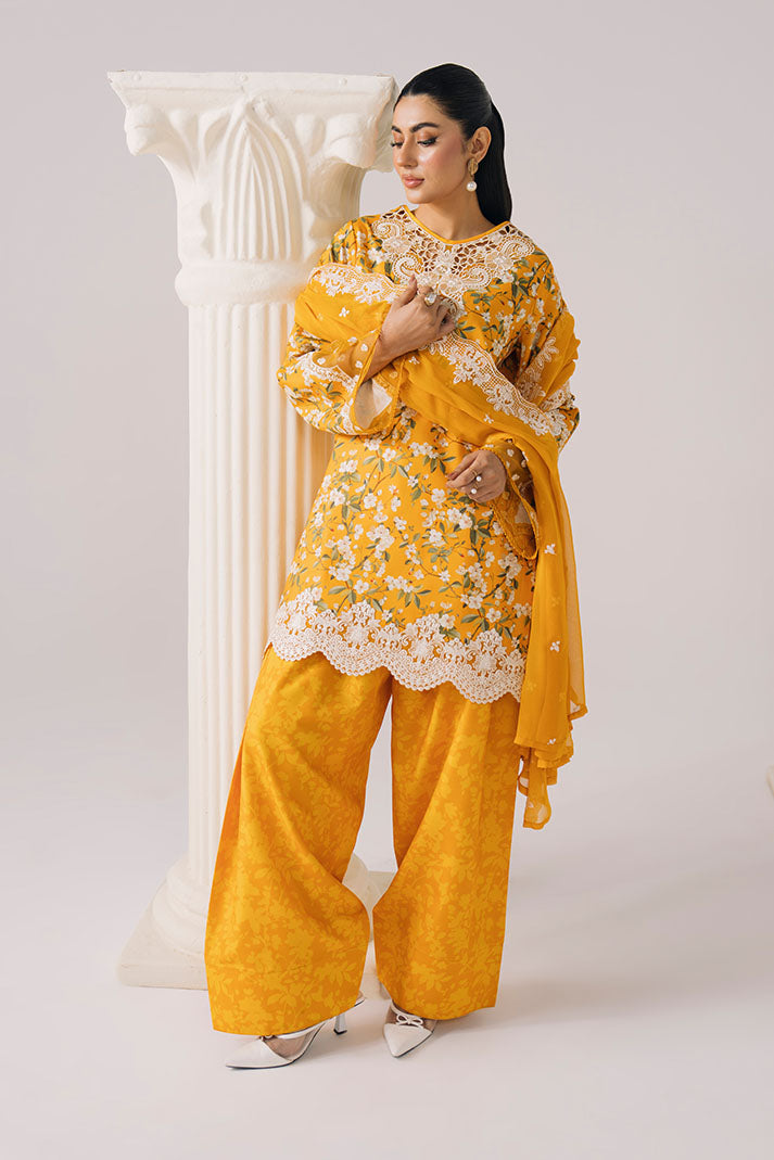 IPL-38 Soft Magnolia