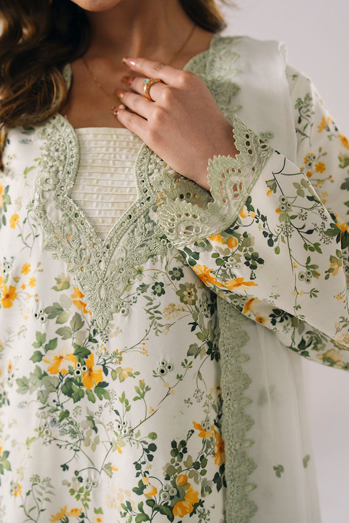 IPL-44 Meadow Lace