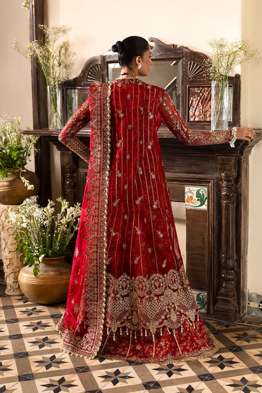 1072-Tearose-DASTAN GOI'2025 by Afrozeh at #VogueClothingStudio