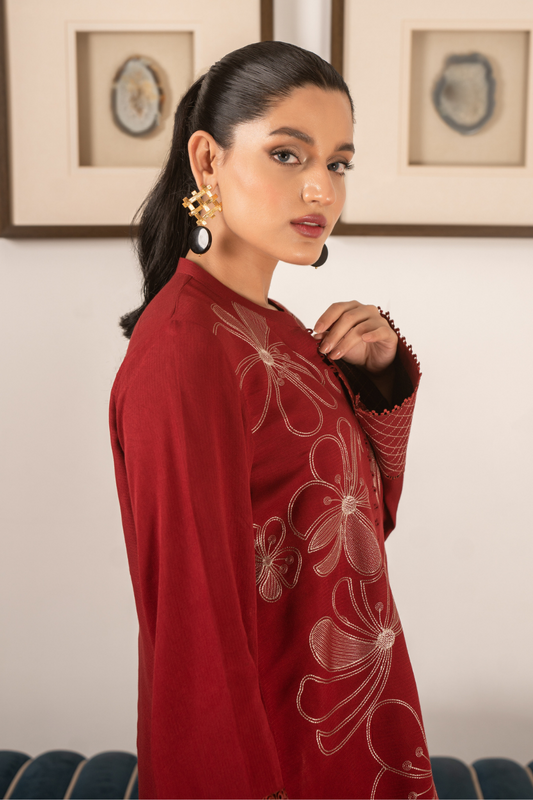 2 PC Stitched | Embroidered Suit