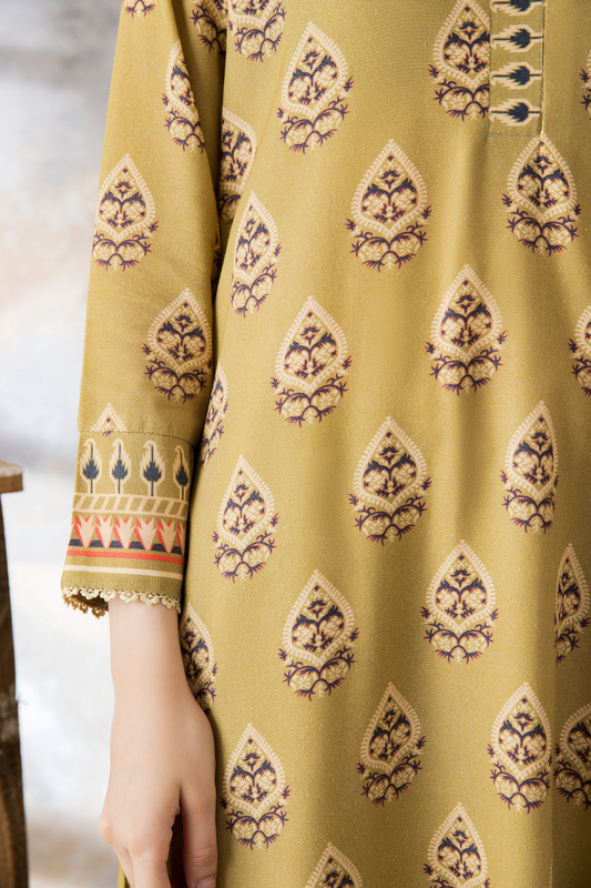 3 PC Unstitched | Karandi Printed Suit