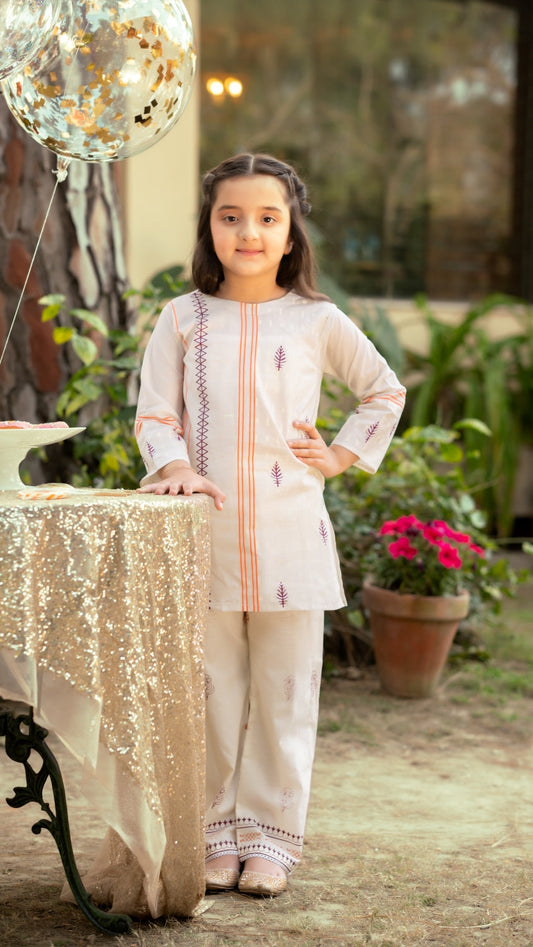 1 PC Stitched | Kids Shirt