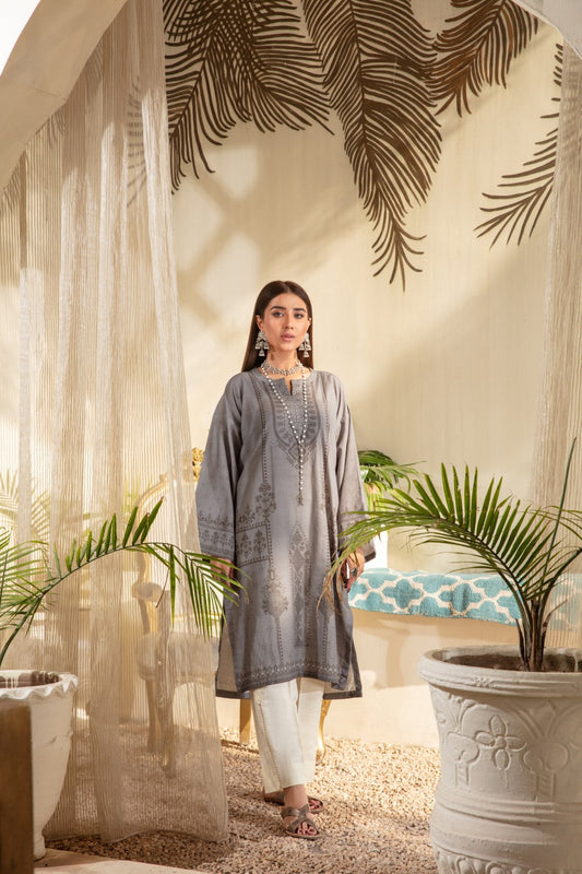 1 PC Stitched | Khaddar Printed Shirt