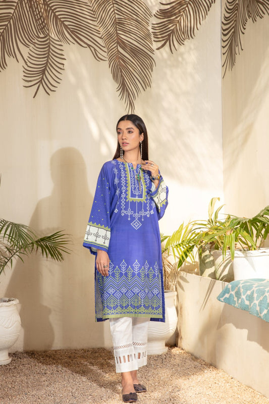 1 PC Stitched | Khaddar Printed Shirt