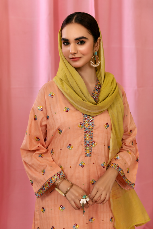 3 PC Stitched | Embroidered Lawn Suit