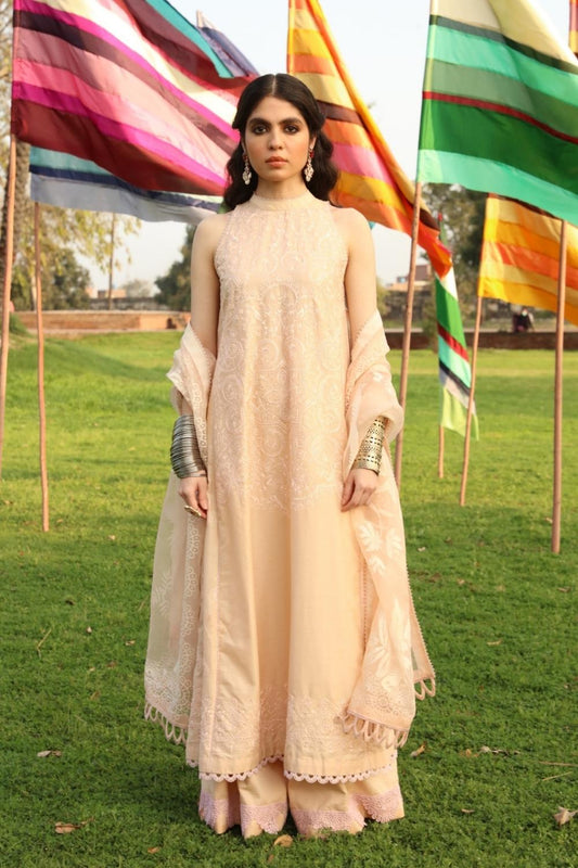 3 PC Unstitched Dyed Embroidered Dobby Shirt + Jacquard Organza Dupatta+ Dyed Cambric Trouser
