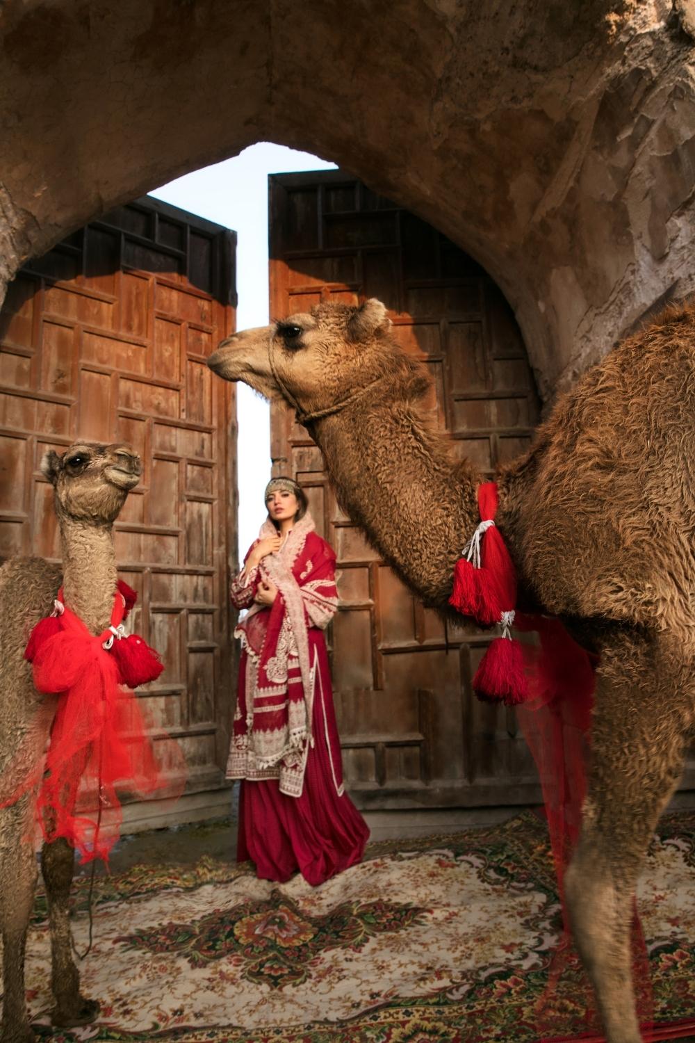 3 PC Unstitched Dyed Embroidered Shirt + Emboss Paste  Slub Karandi Dupatta + Dyed Cambric Trouser