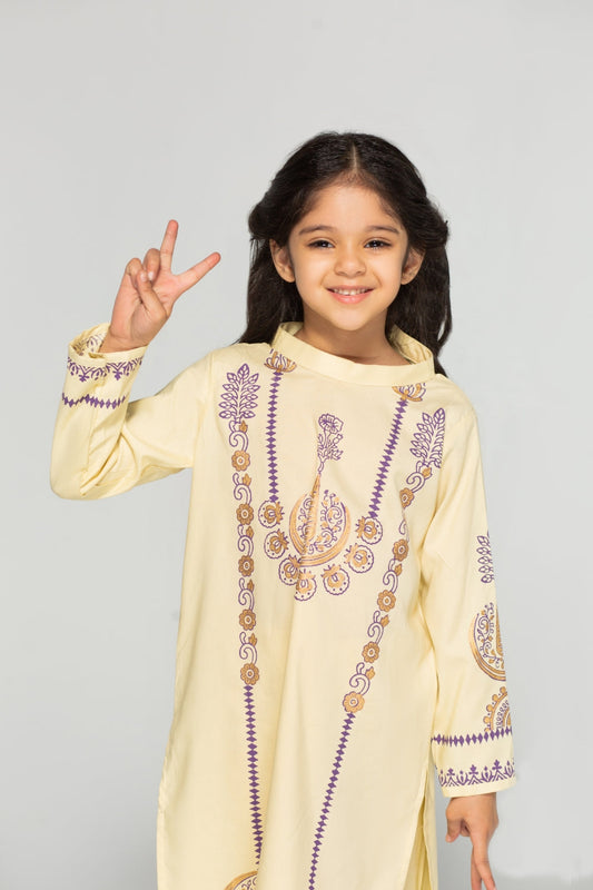 2 PC Stitched | Embroided Shirt + Trouser